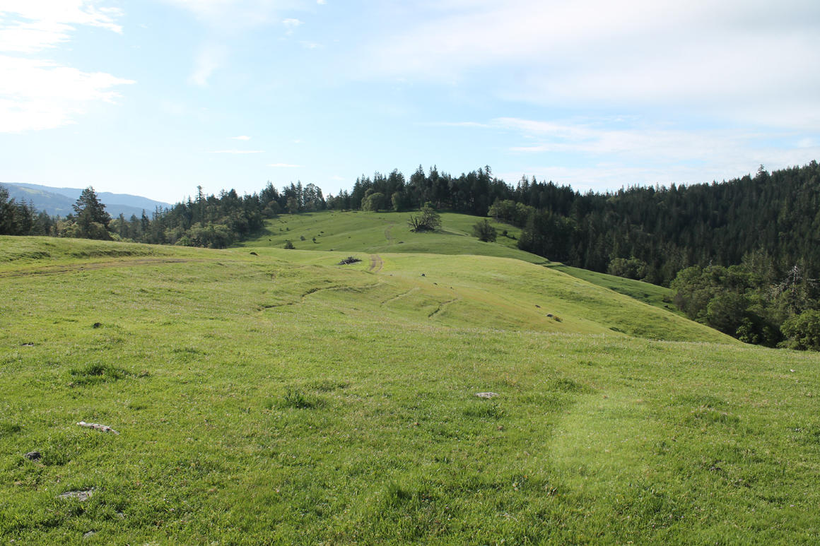 30855 Alderpoint Road, Unit MORE SEE REMARKS Blocksburg, CA 95514 - Photo 19 of 19