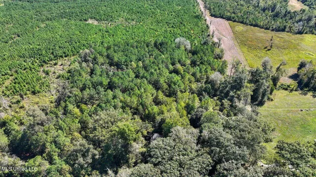 $44,000 | 5.00 Noblin Bridge Road, Pelahatchie, MS 39145