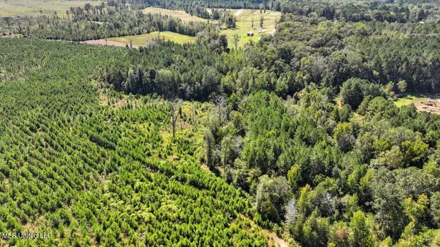 $44,000 | 5.00 Noblin Bridge Road, Pelahatchie, MS 39145