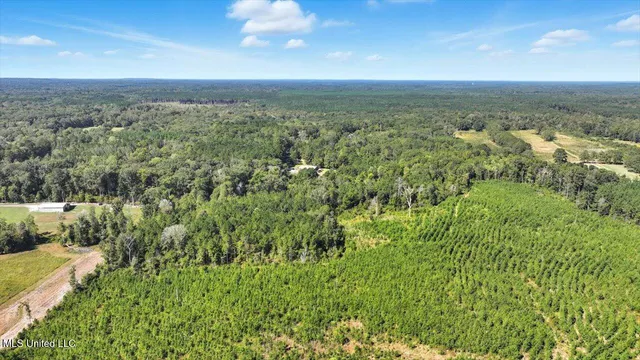 $44,000 | 5.00 Noblin Bridge Road, Pelahatchie, MS 39145