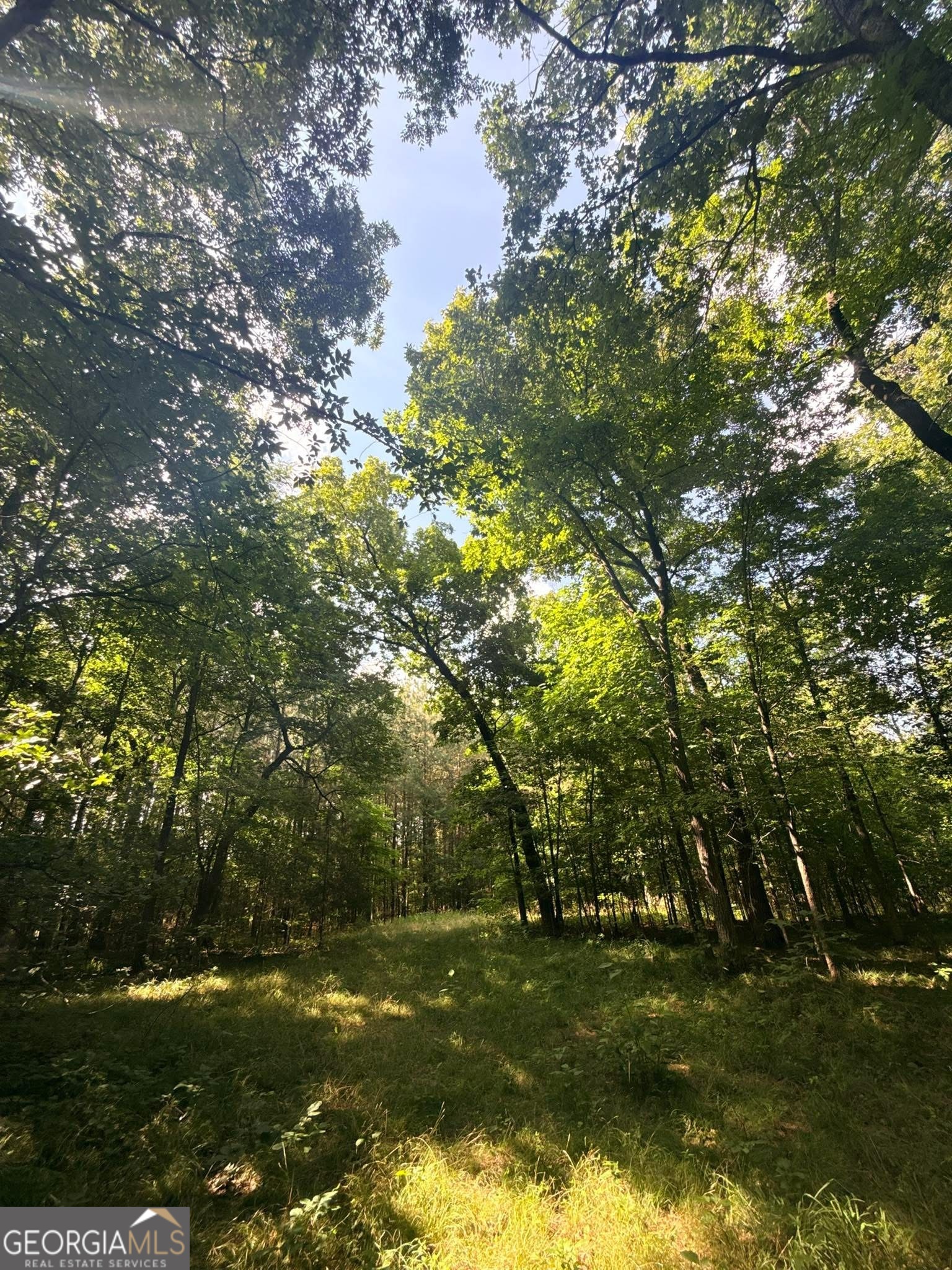 2 Bethesda Church Road Lexington, GA 30648 - Photo 65 of 66