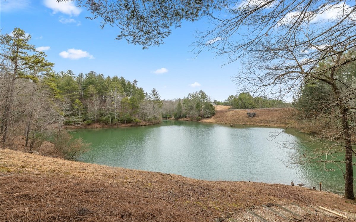 734 BMW Drive Ellijay, GA 30540 - Photo 14 of 63 Additional View