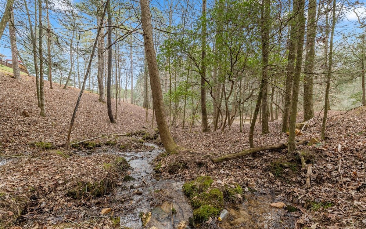 734 BMW Drive Ellijay, GA 30540 - Photo 19 of 63 Additional View