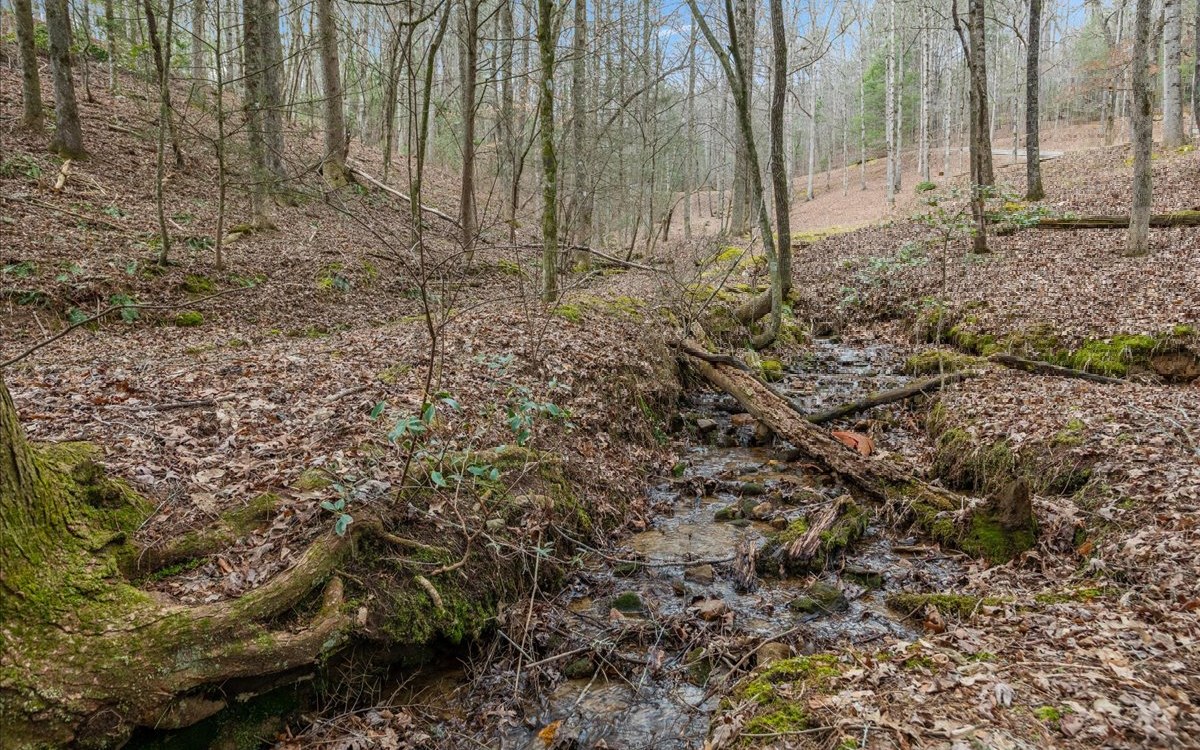 734 BMW Drive Ellijay, GA 30540 - Photo 20 of 63 Additional View