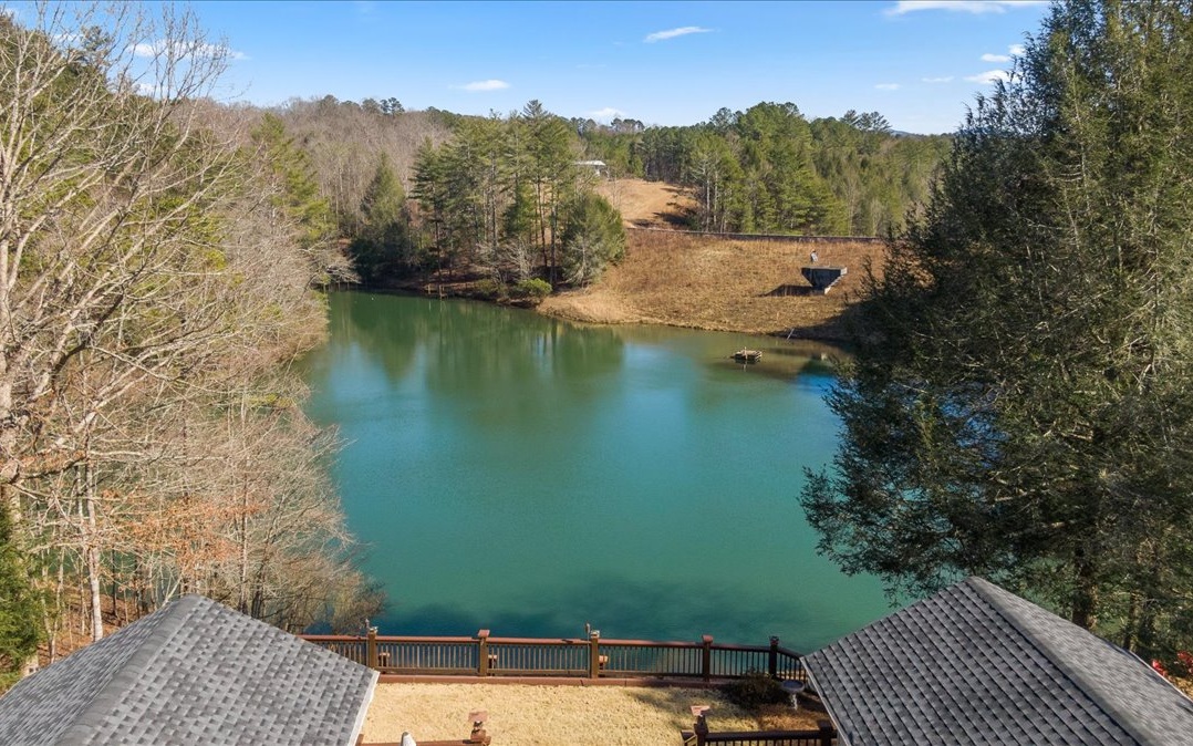 734 BMW Drive Ellijay, GA 30540 - Photo 3 of 63 Additional View