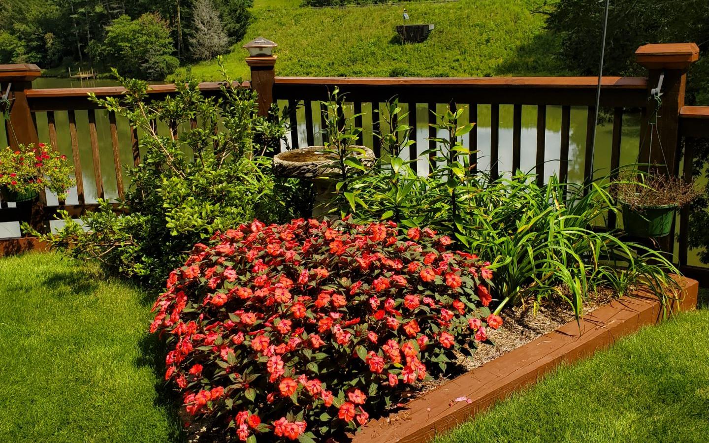 734 BMW Drive Ellijay, GA 30540 - Photo 60 of 63 Additional View