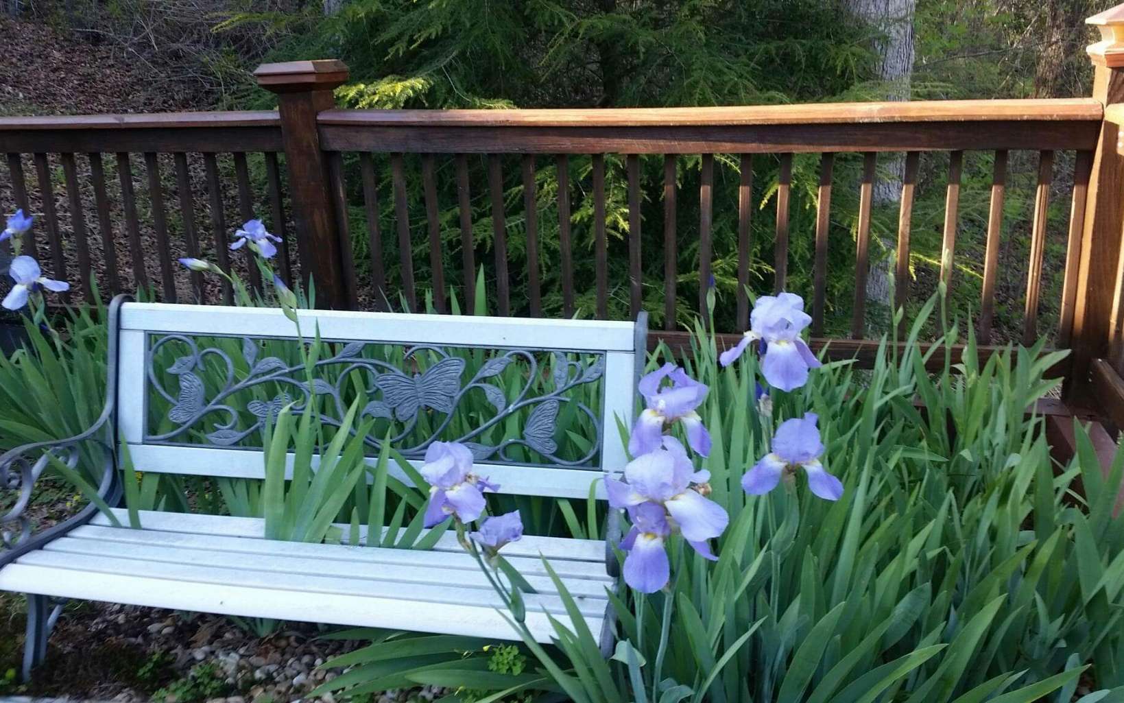 734 BMW Drive Ellijay, GA 30540 - Photo 62 of 63 Additional View