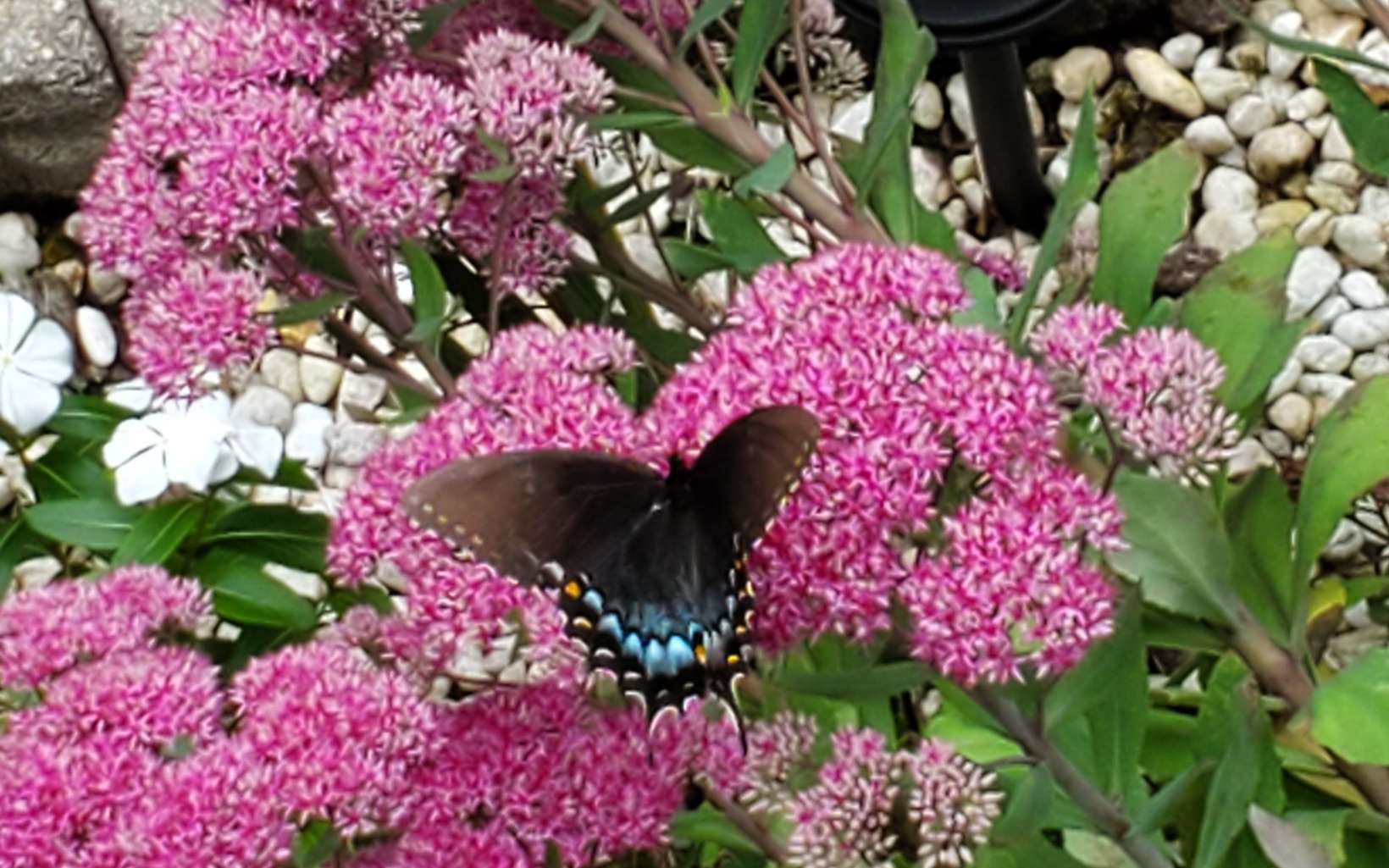 734 BMW Drive Ellijay, GA 30540 - Photo 63 of 63 Additional View