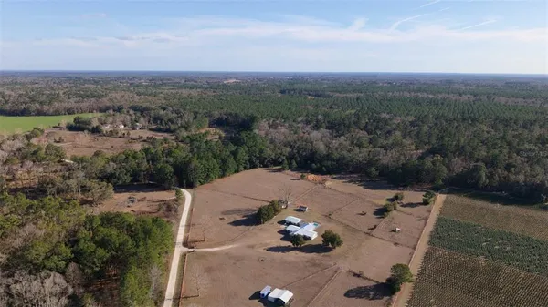 a view of a tree in a yard