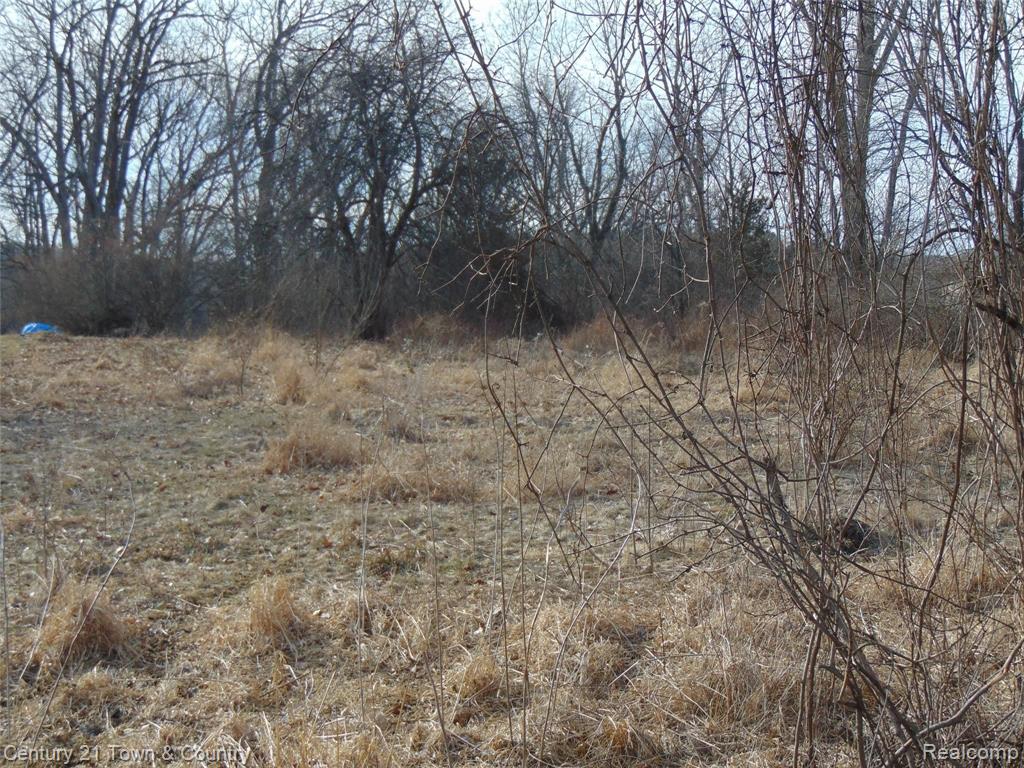 0 Taylor Lake Road Pontiac, MI 48342 - Photo 6 of 10