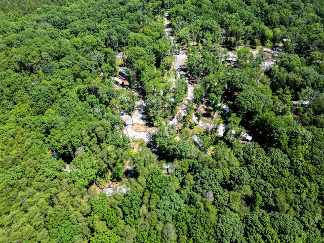 a view of a lush green forest