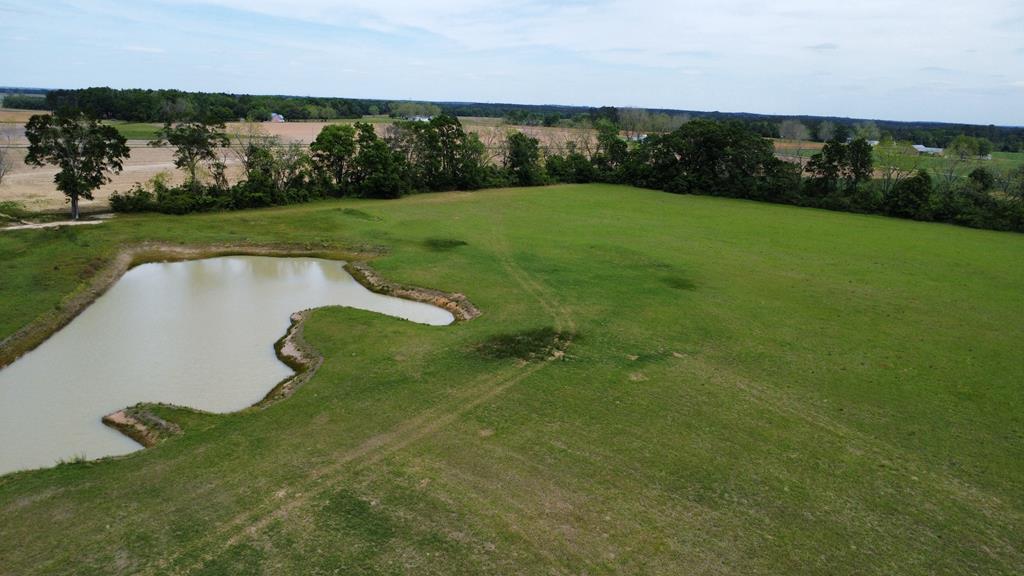 3536 Bill Yance Road Webb, AL 36376 - Photo 10 of 22
