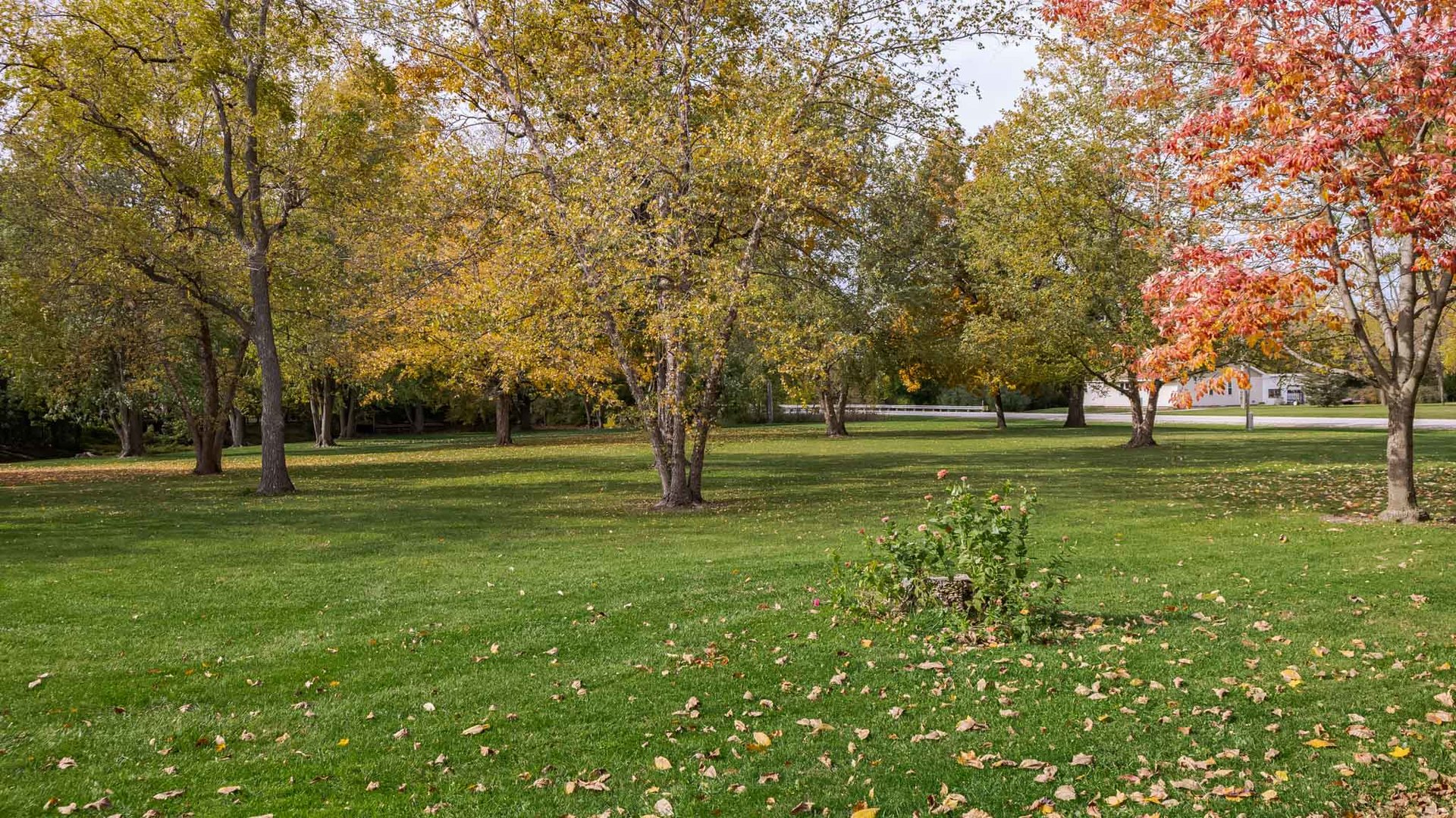 10658 East 1700 N Road Pontiac, IL 61764 - Photo 29 of 60 Gallery Image 29