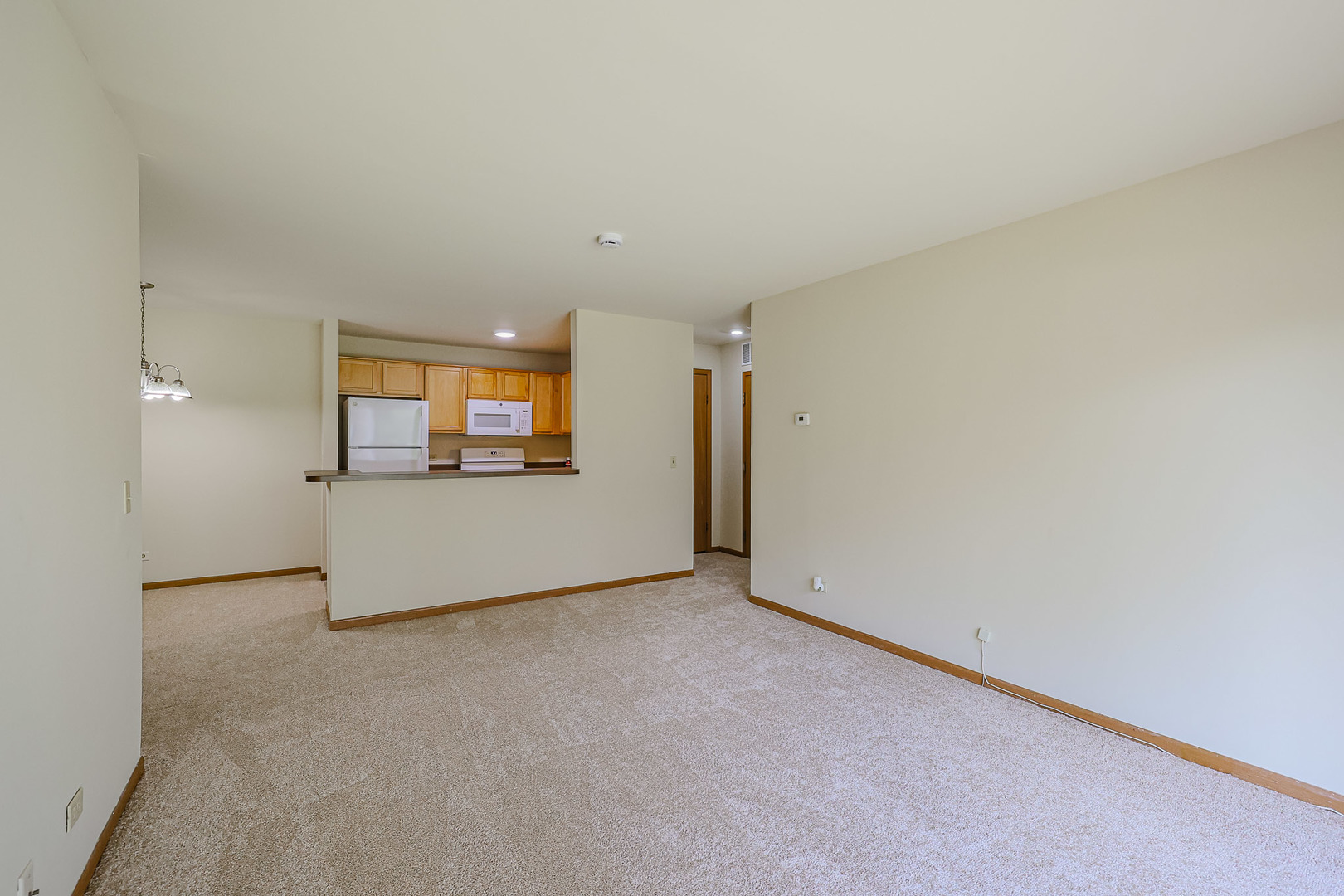 1340 McDowell Road, Unit 104 Naperville, IL 60563 - Photo 11 of 31 Gallery Image 11