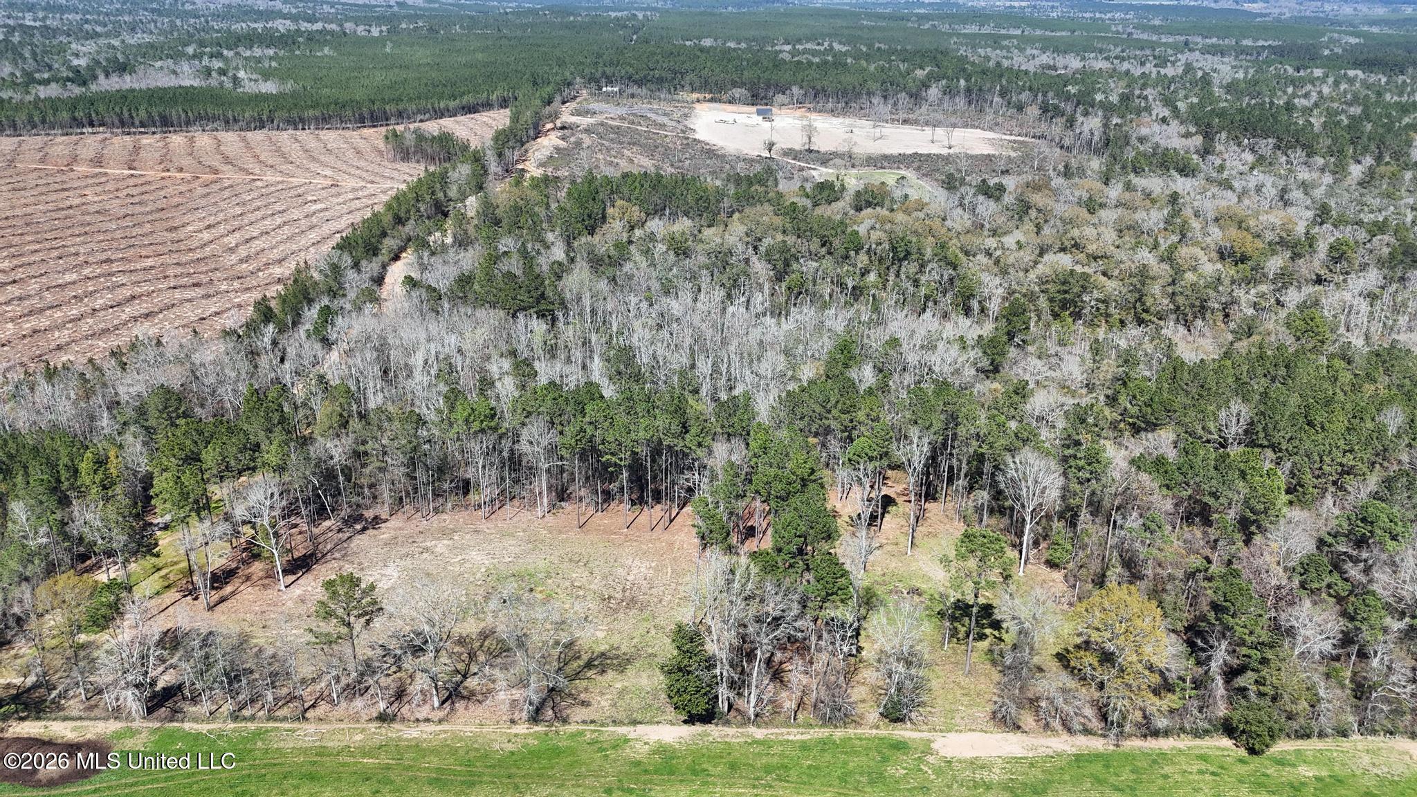 21.8-acres Flournoy Road Lucedale, MS 39452 - Photo 1 of 20 009