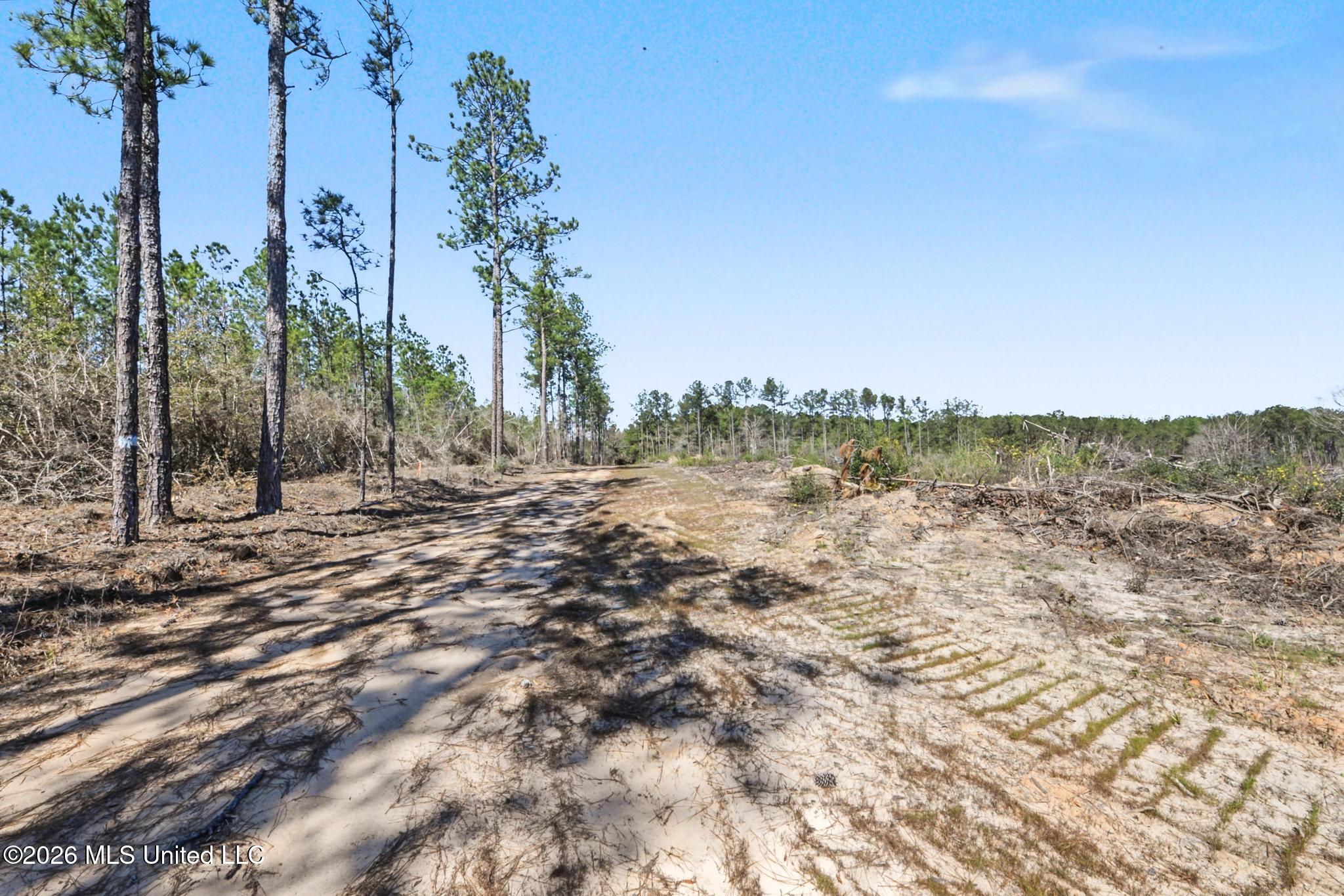 21.8-acres Flournoy Road Lucedale, MS 39452 - Photo 12 of 20 018
