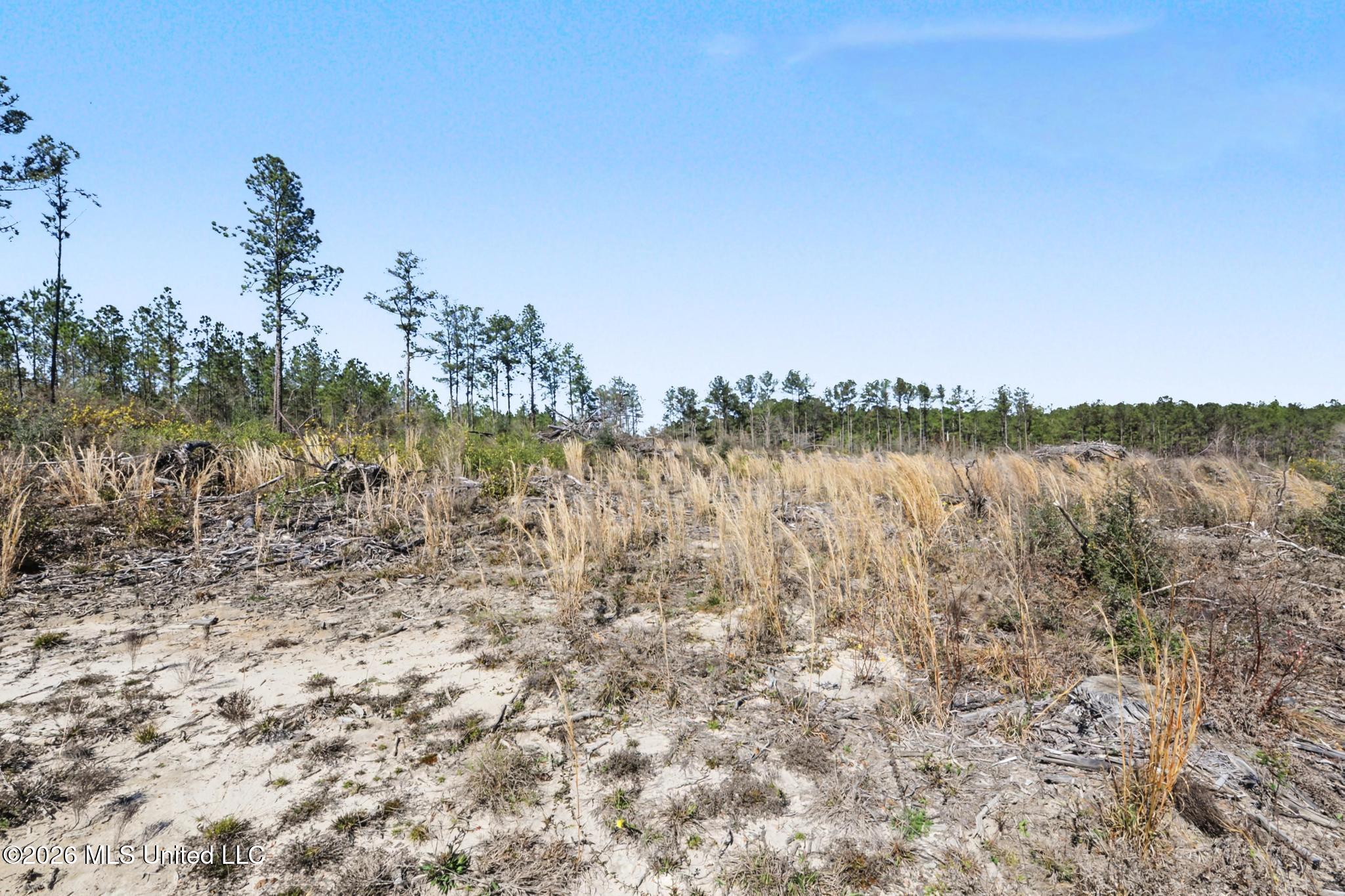 21.8-acres Flournoy Road Lucedale, MS 39452 - Photo 13 of 20 019