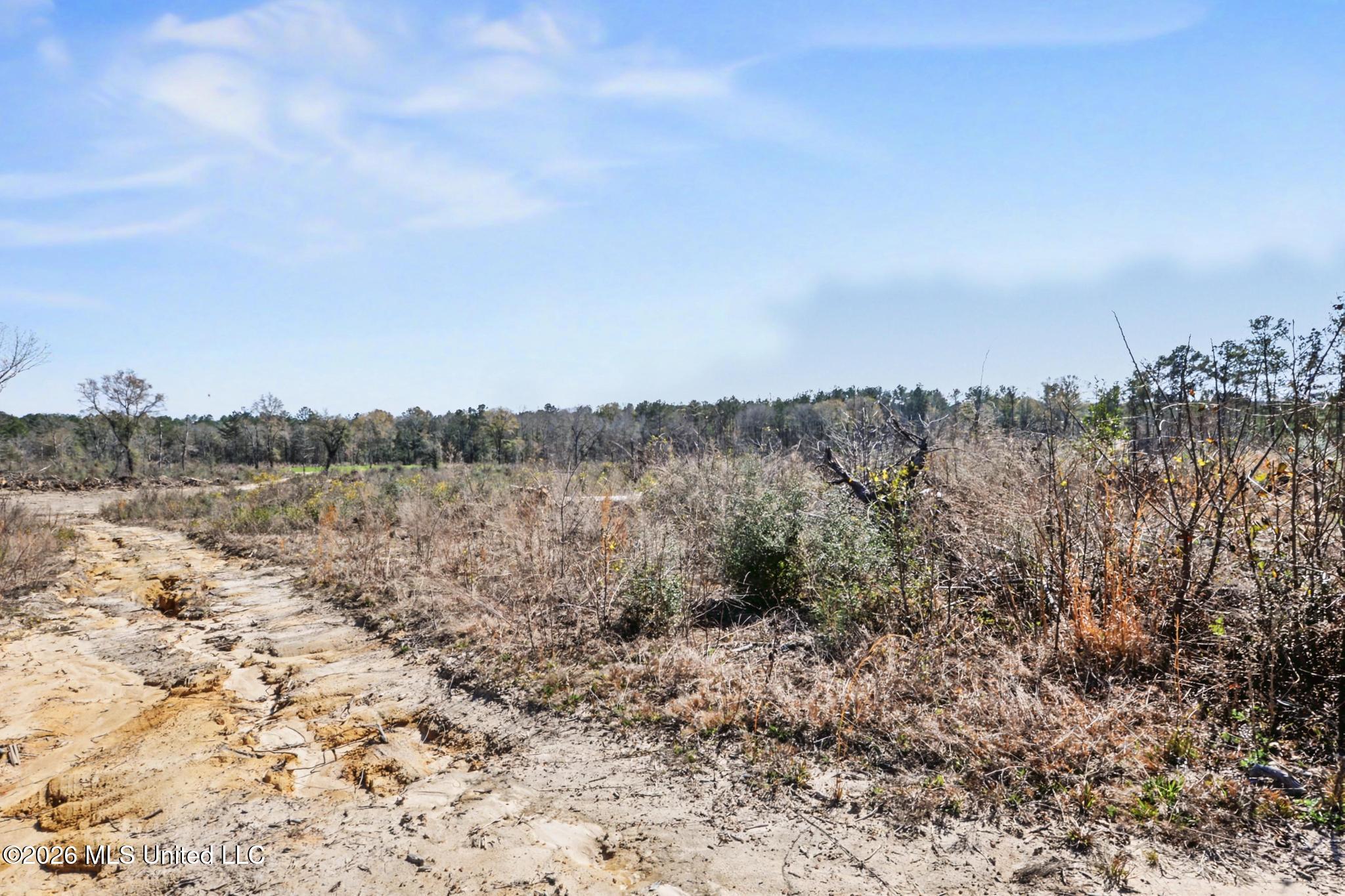 21.8-acres Flournoy Road Lucedale, MS 39452 - Photo 14 of 20 020