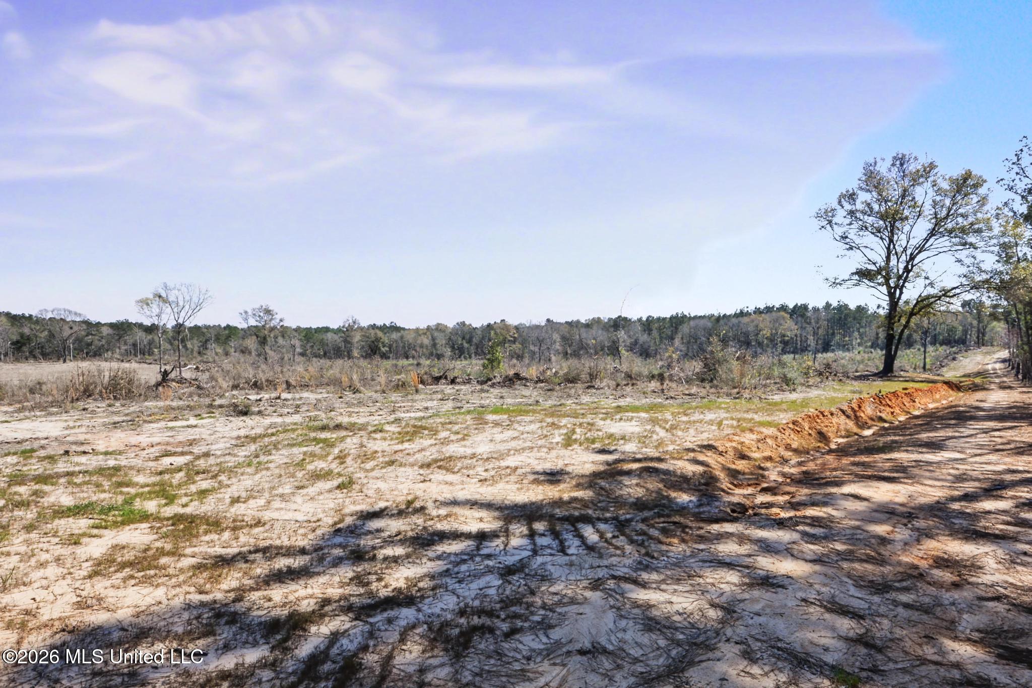 21.8-acres Flournoy Road Lucedale, MS 39452 - Photo 15 of 20 021