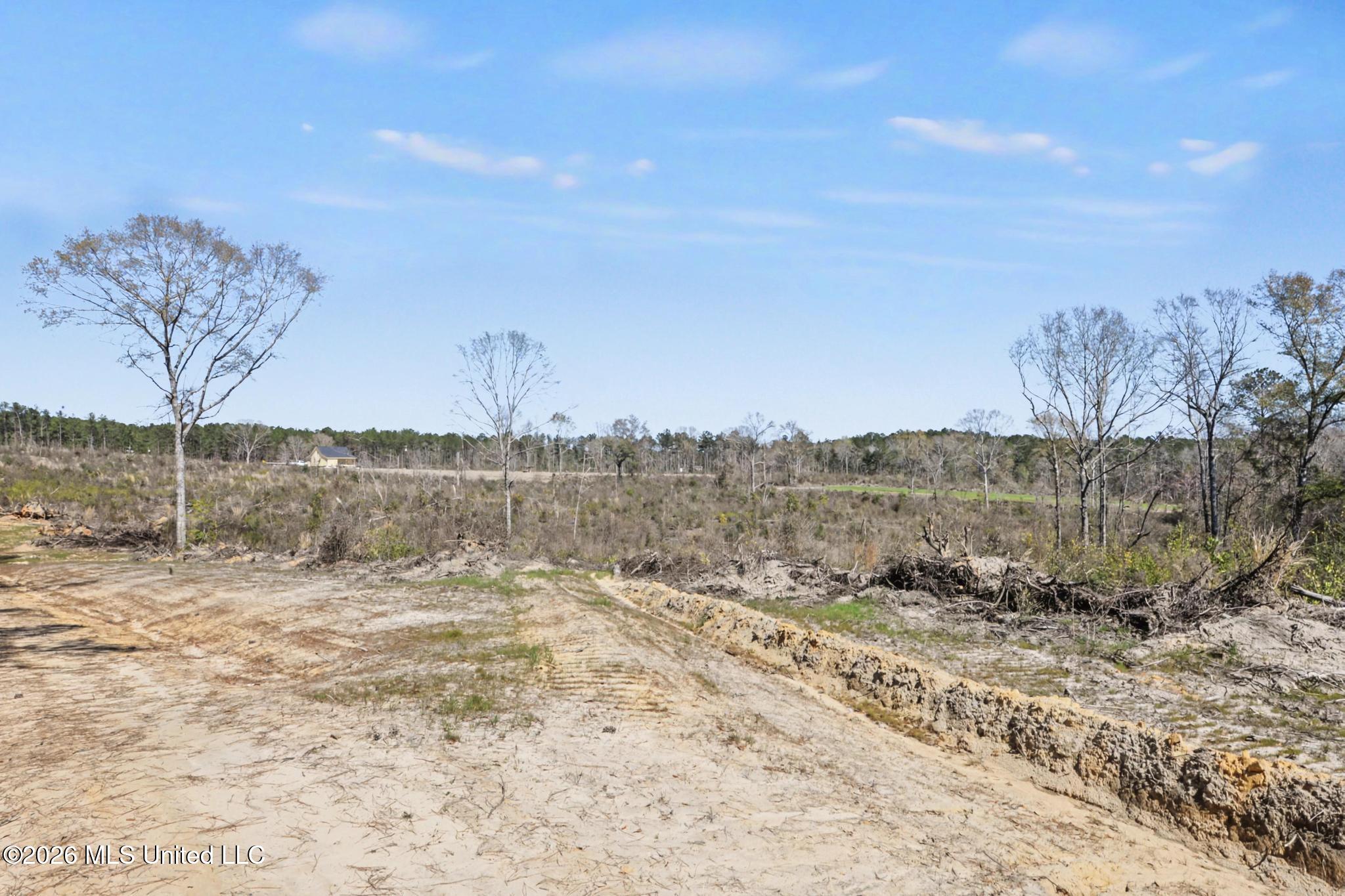 21.8-acres Flournoy Road Lucedale, MS 39452 - Photo 16 of 20 022