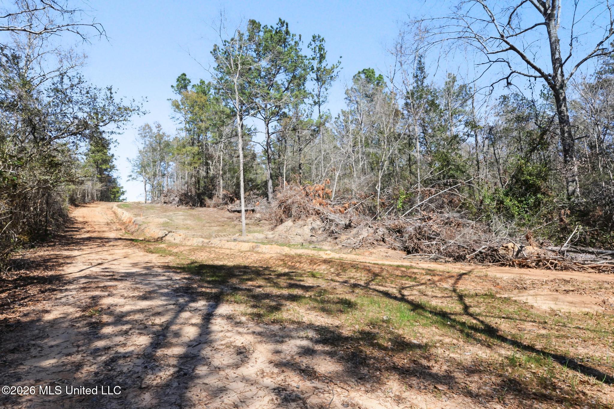 21.8-acres Flournoy Road Lucedale, MS 39452 - Photo 17 of 20 023