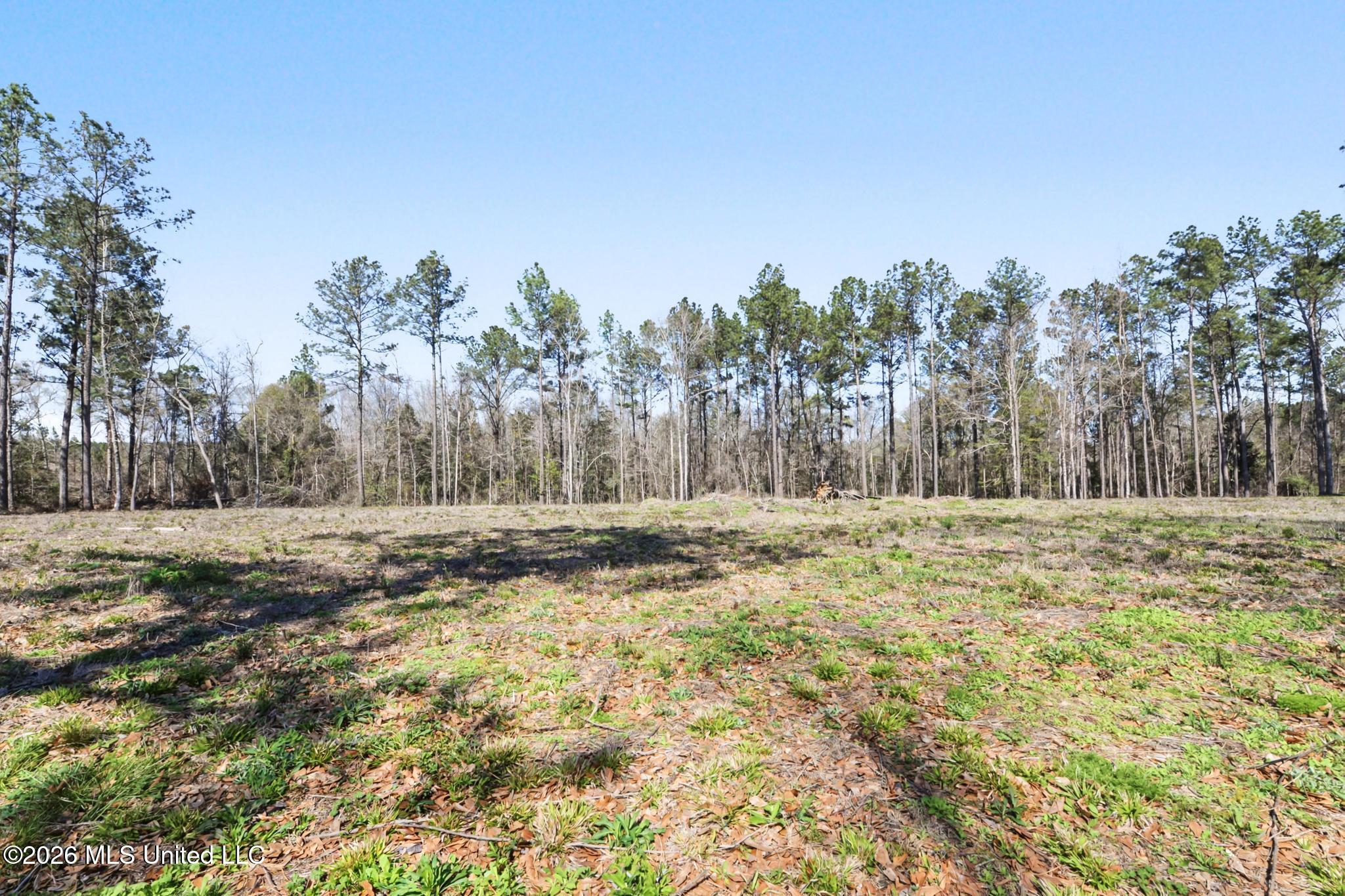 21.8-acres Flournoy Road Lucedale, MS 39452 - Photo 18 of 20 024