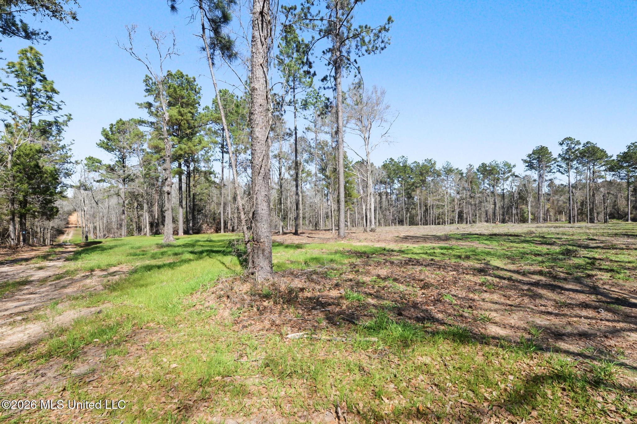 21.8-acres Flournoy Road Lucedale, MS 39452 - Photo 19 of 20 025