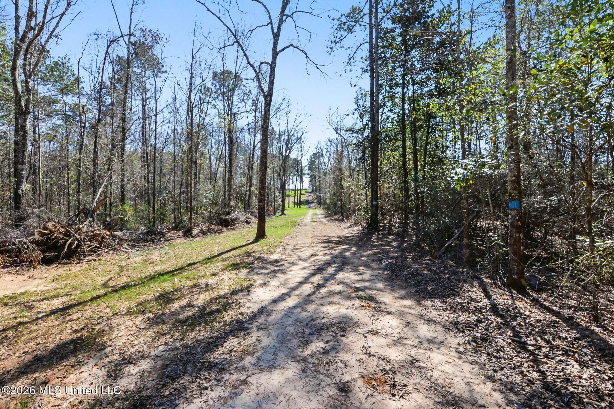 21.8-acres Flournoy Road Lucedale, MS 39452 - Photo 20 of 20 026