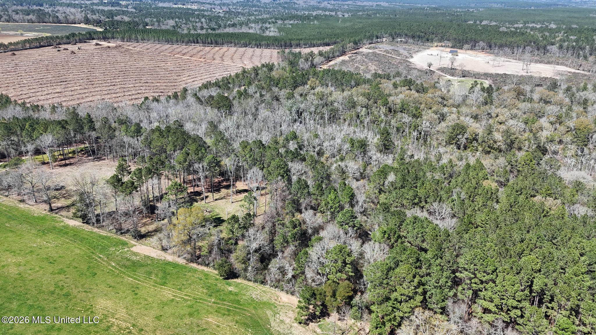 21.8-acres Flournoy Road Lucedale, MS 39452 - Photo 3 of 20 008
