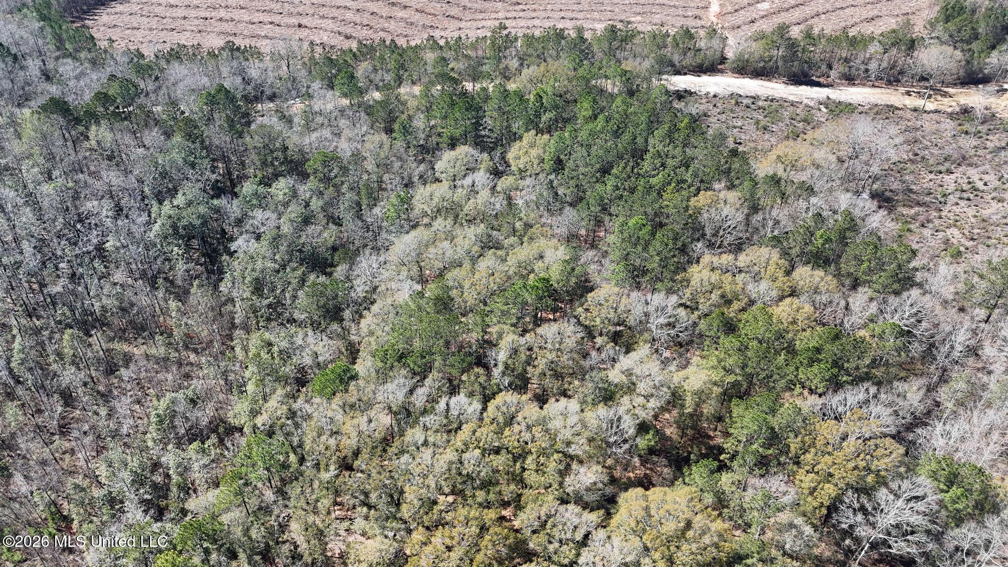 21.8-acres Flournoy Road Lucedale, MS 39452 - Photo 4 of 20 006