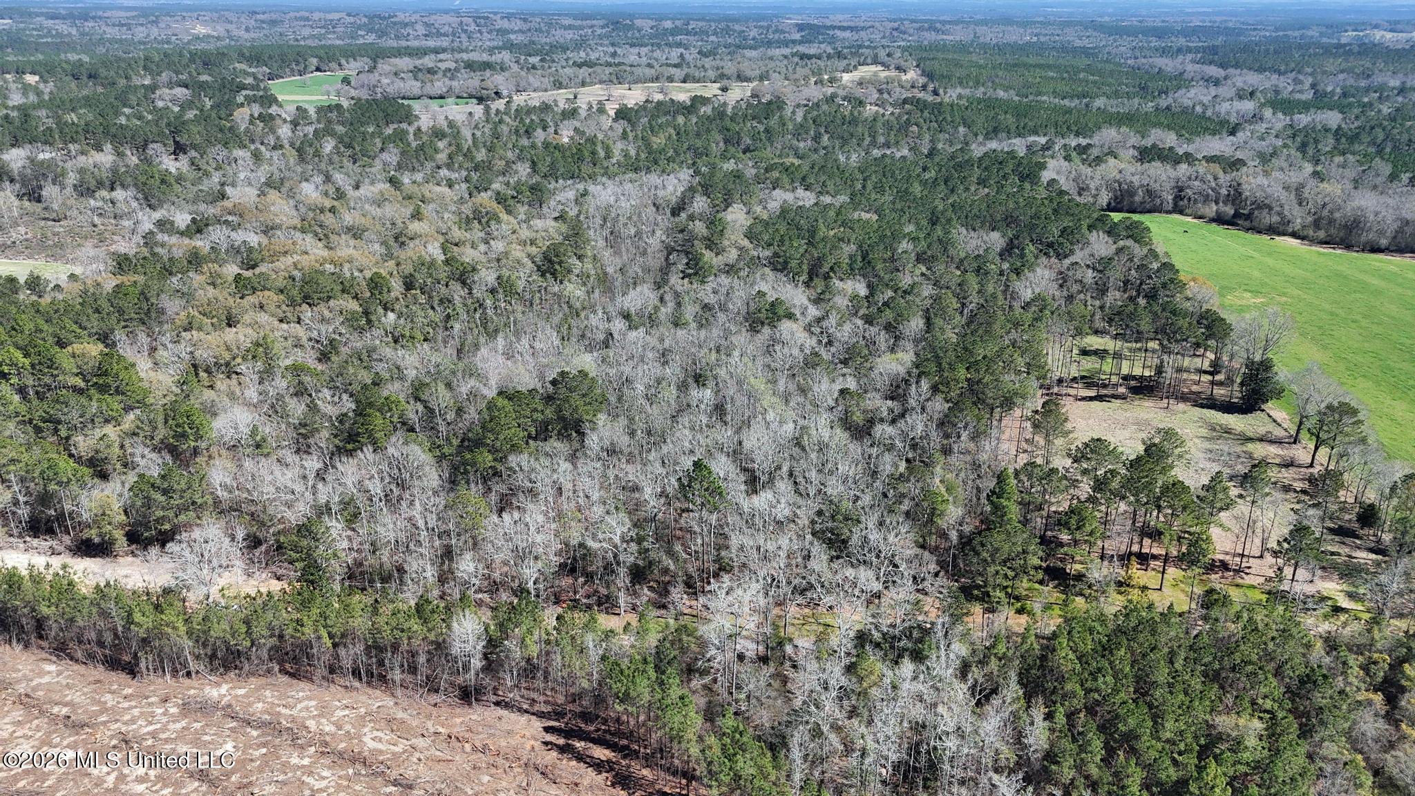 21.8-acres Flournoy Road Lucedale, MS 39452 - Photo 6 of 20 011