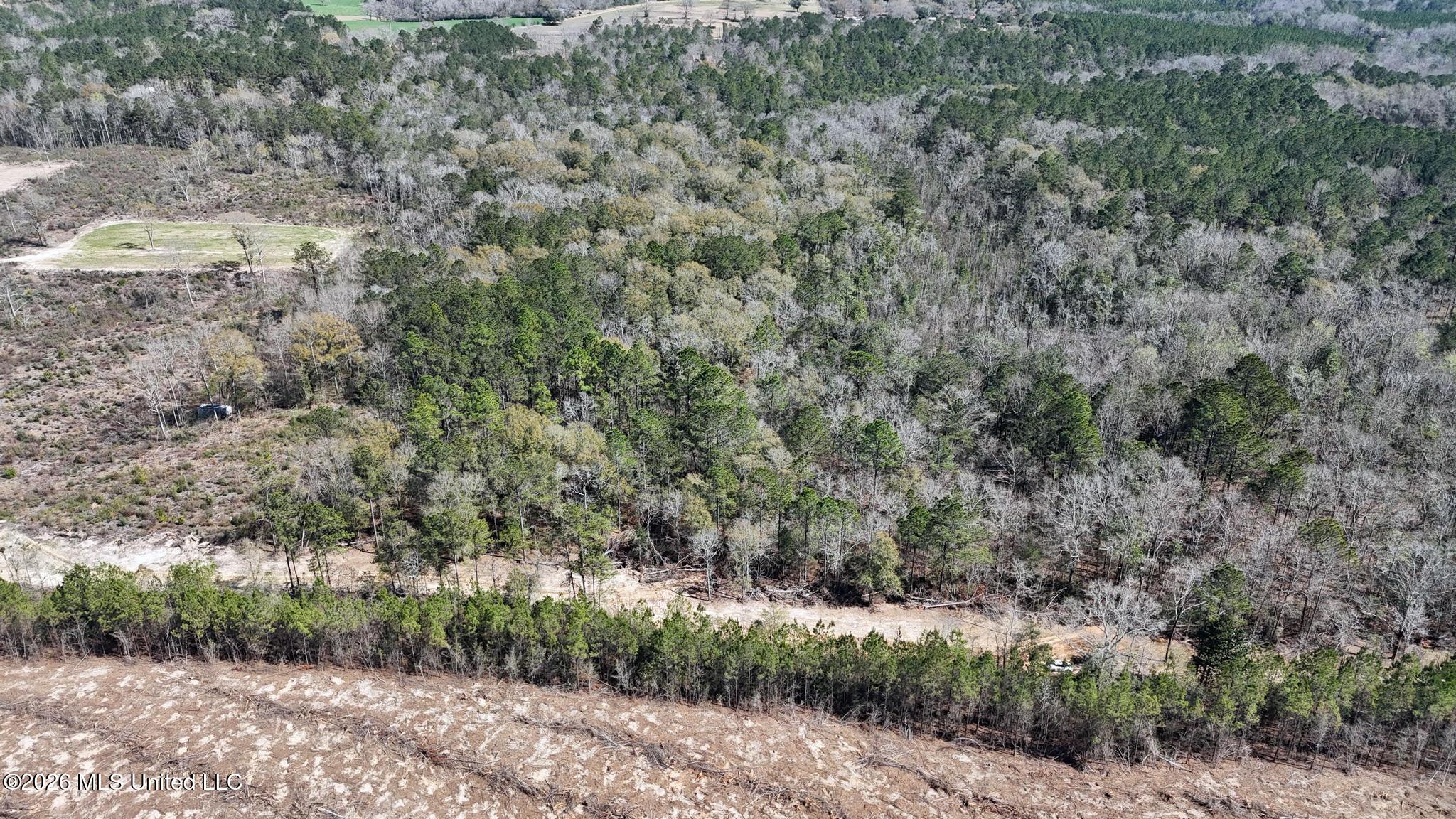 21.8-acres Flournoy Road Lucedale, MS 39452 - Photo 7 of 20 012