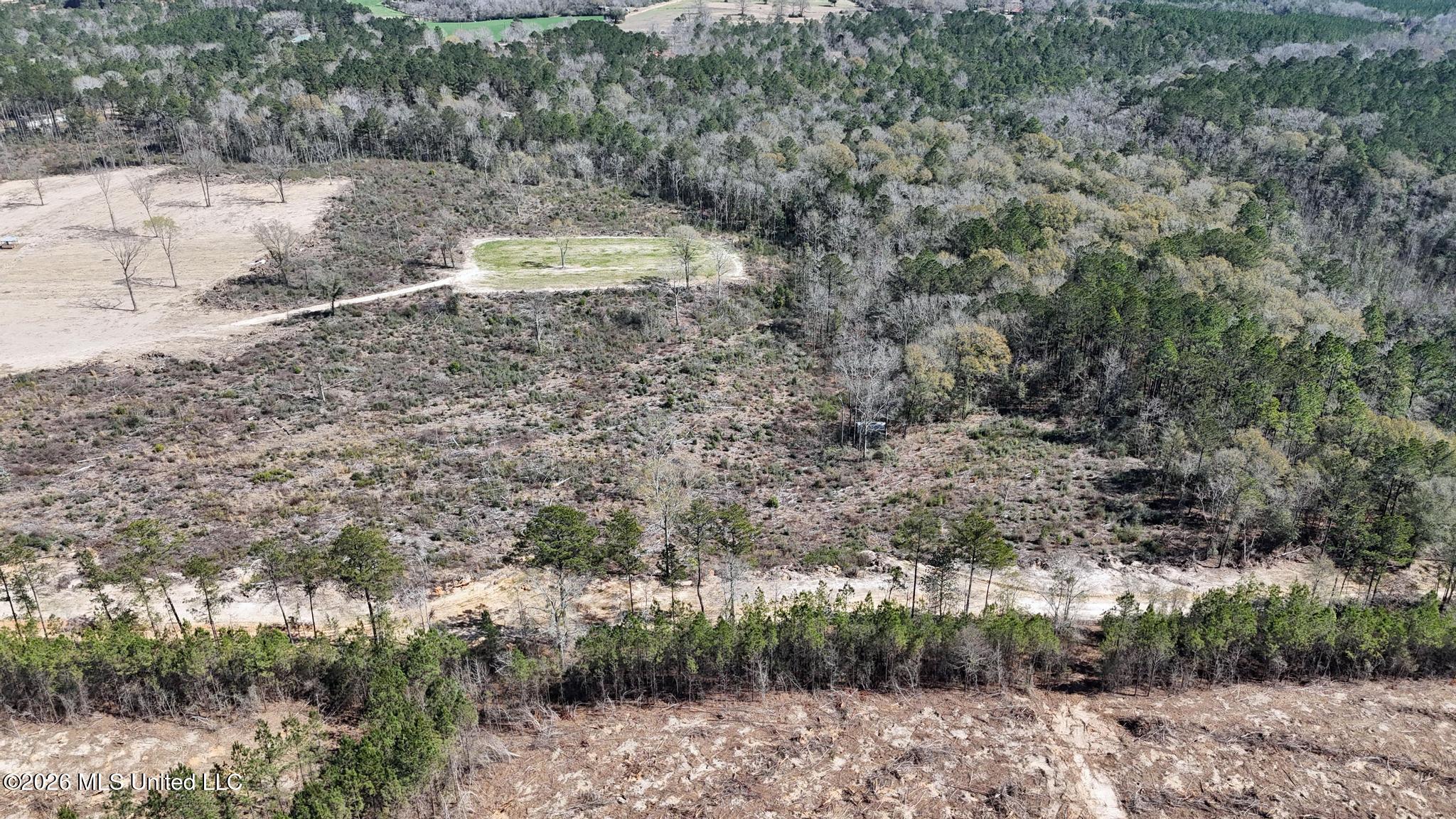 21.8-acres Flournoy Road Lucedale, MS 39452 - Photo 8 of 20 013