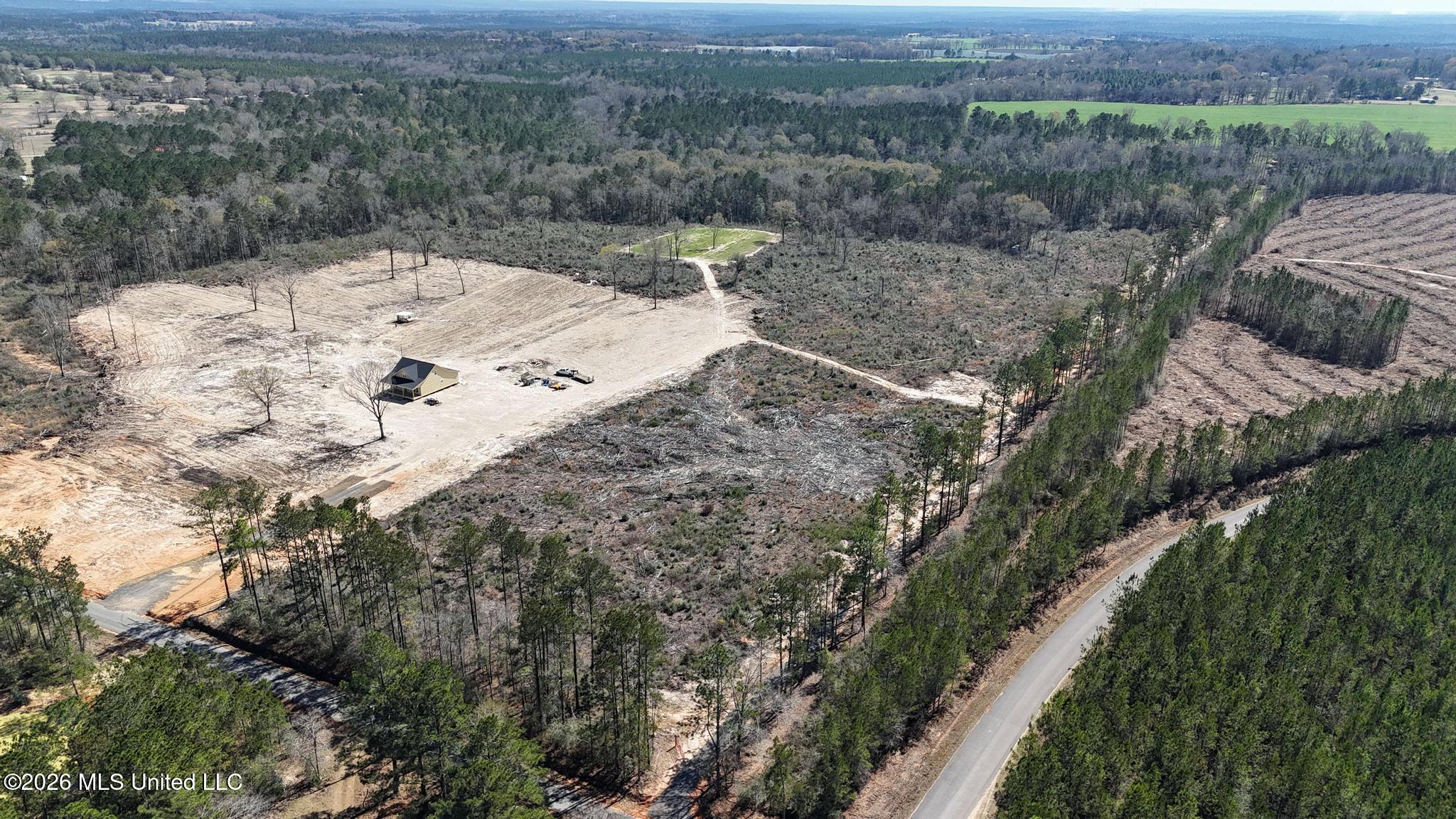 21.8-acres Flournoy Road Lucedale, MS 39452 - Photo 9 of 20 016