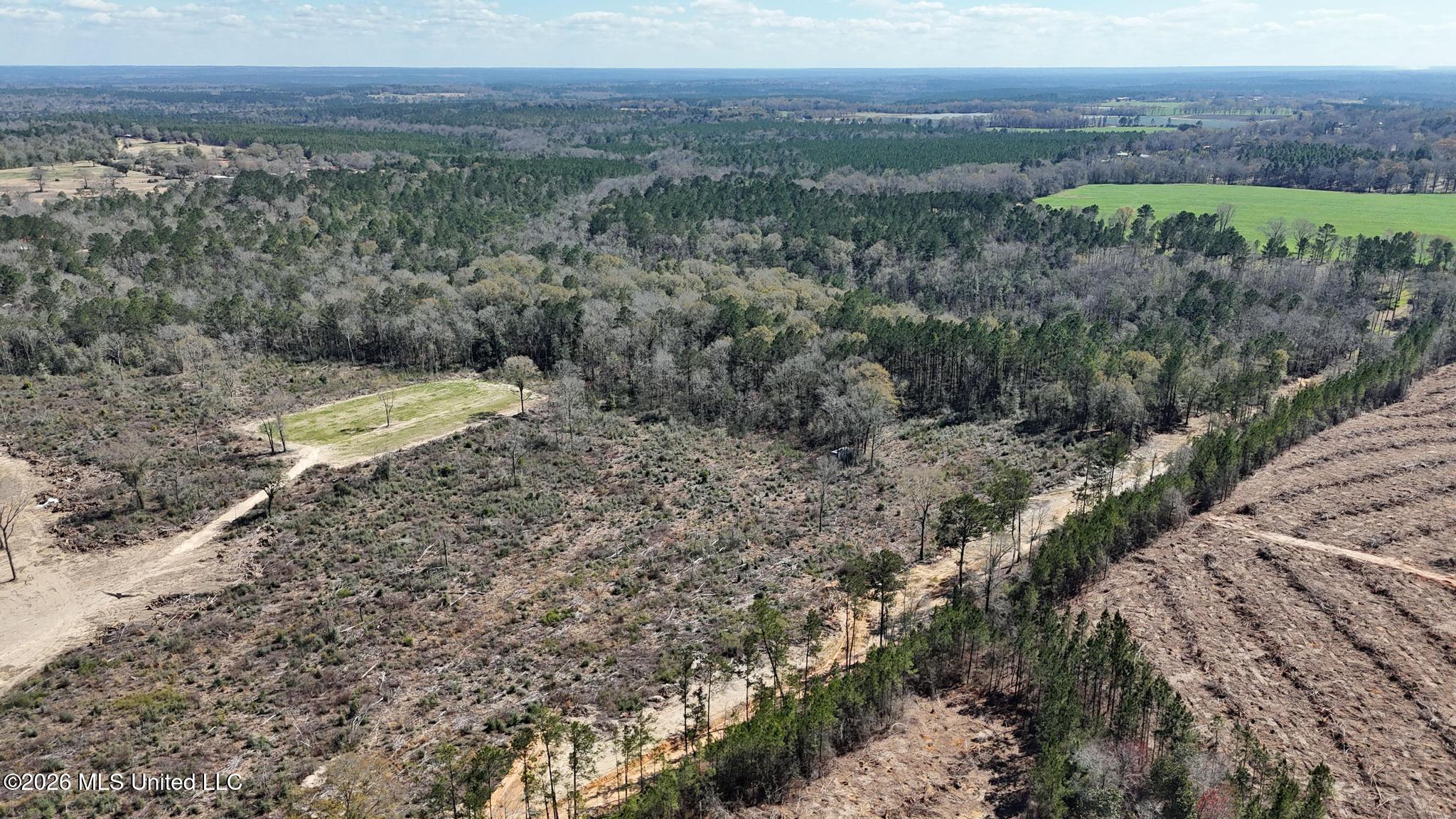 21.8-acres Flournoy Road Lucedale, MS 39452 - Photo 10 of 20 014