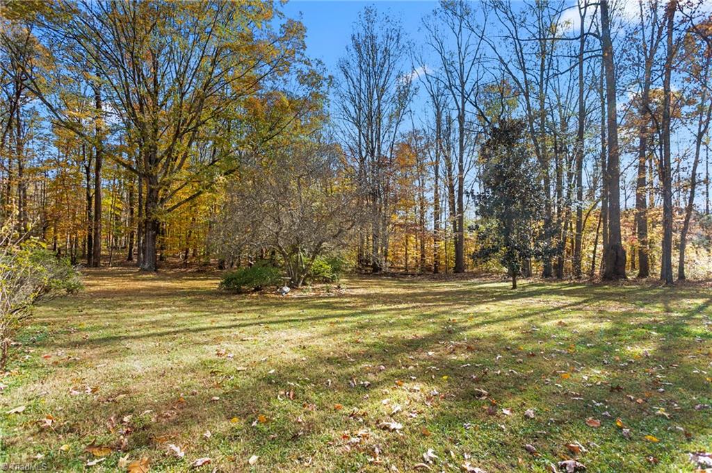 4813 Carlson Valley Road Summerfield, NC 27358 - Photo 39 of 46 Backyard