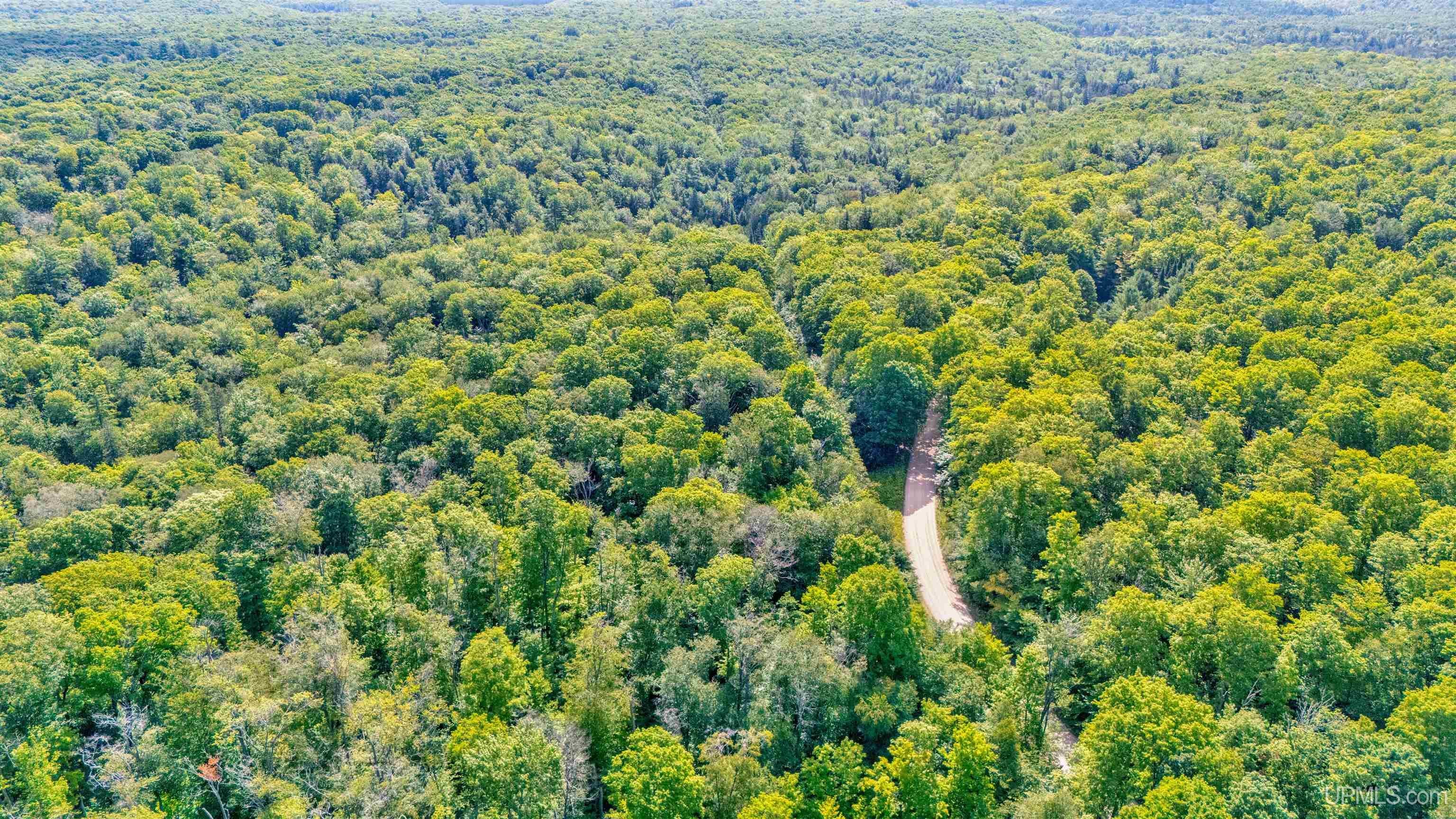 6590 County Road 445 Road Manistique, MI 49854 - Photo 24 of 30 Gallery Image 24