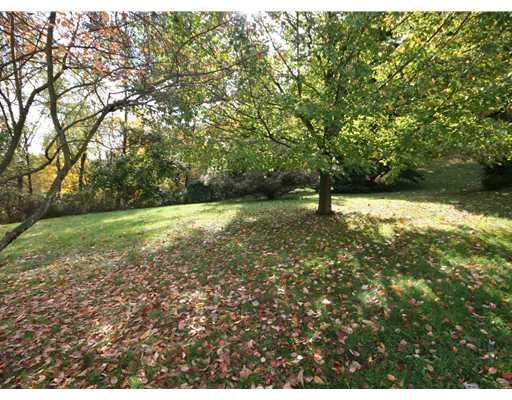 82 West Starz Road Cheswick, PA 15024 - Photo 3 of 11 Yard/Garden.