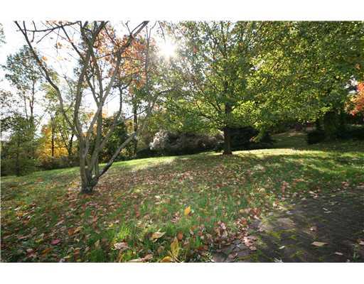 82 West Starz Road Cheswick, PA 15024 - Photo 4 of 11 Yard/Garden.
