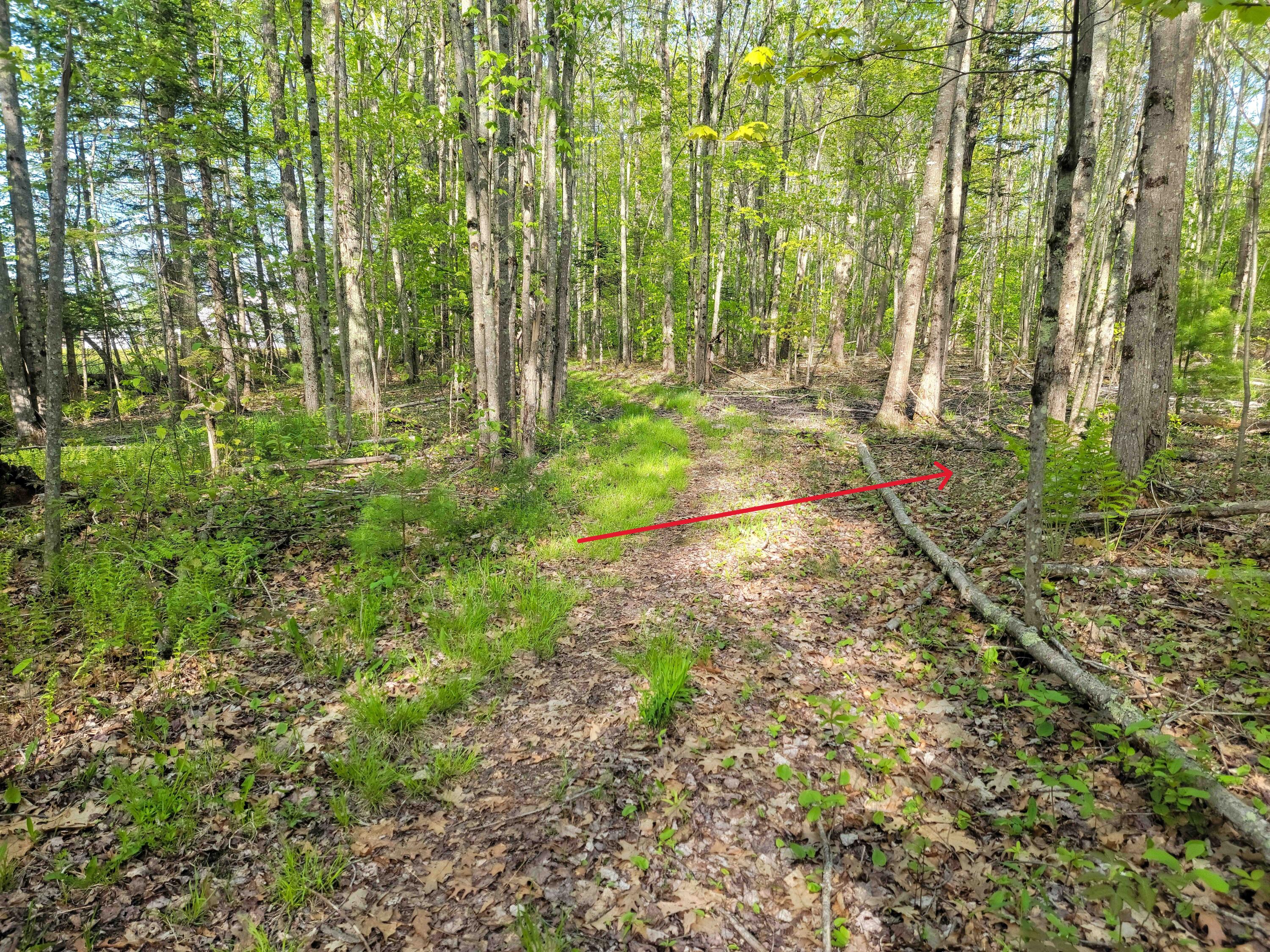 Lot 4 Newell Court (4 of 17)