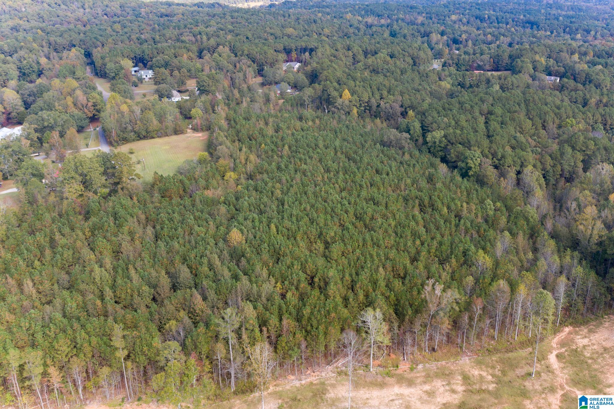 0 Olde S Spur McCalla, AL 35111 - Photo 10 of 25