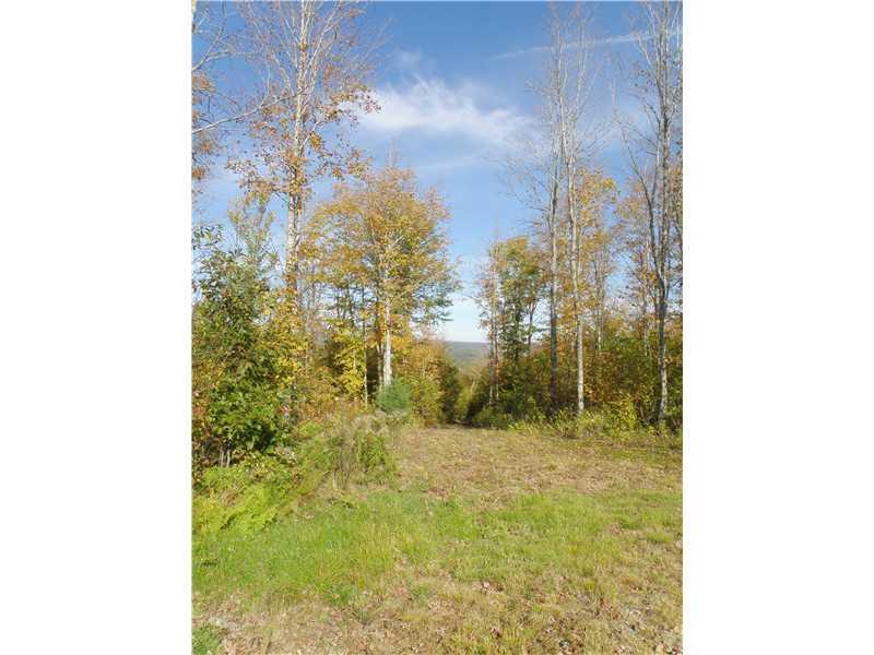 Lot 8 Warden Hill Road Springfield, ME 04487 - Photo 9 of 25 Land/Lot. View towards Katahdin