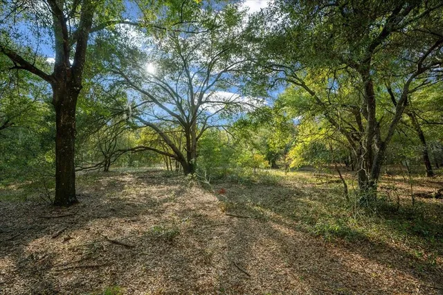 a view of backyard with green space