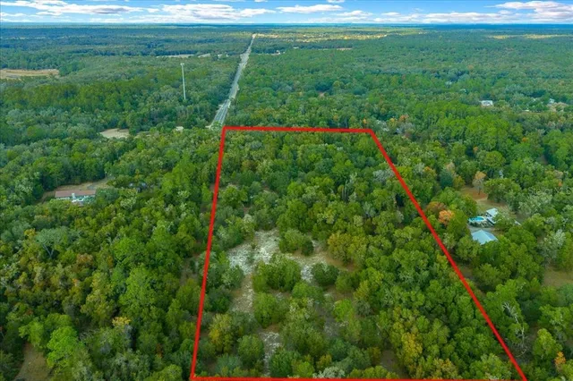 a view of a green yard with large trees
