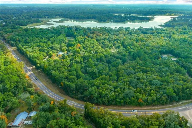 a view of a green field with lots of bushes