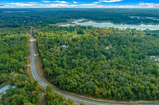 a view of a garden with an outdoor space