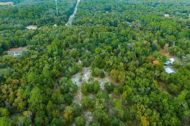 a view of a lush green forest with lots of trees