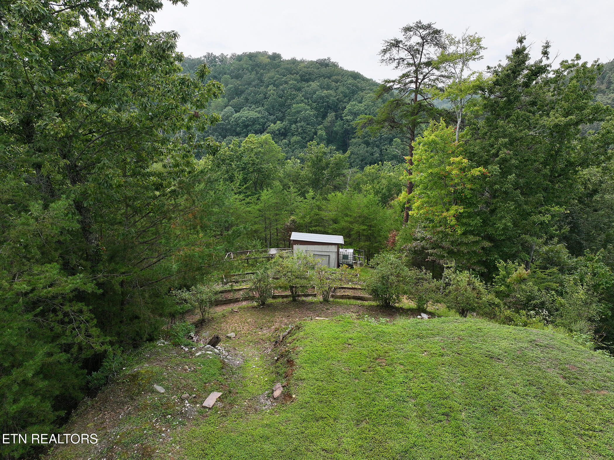 388 Damewood Hollow Road Luttrell, TN 37779 - Photo 13 of 46 DJI_20250905142154_0332_D