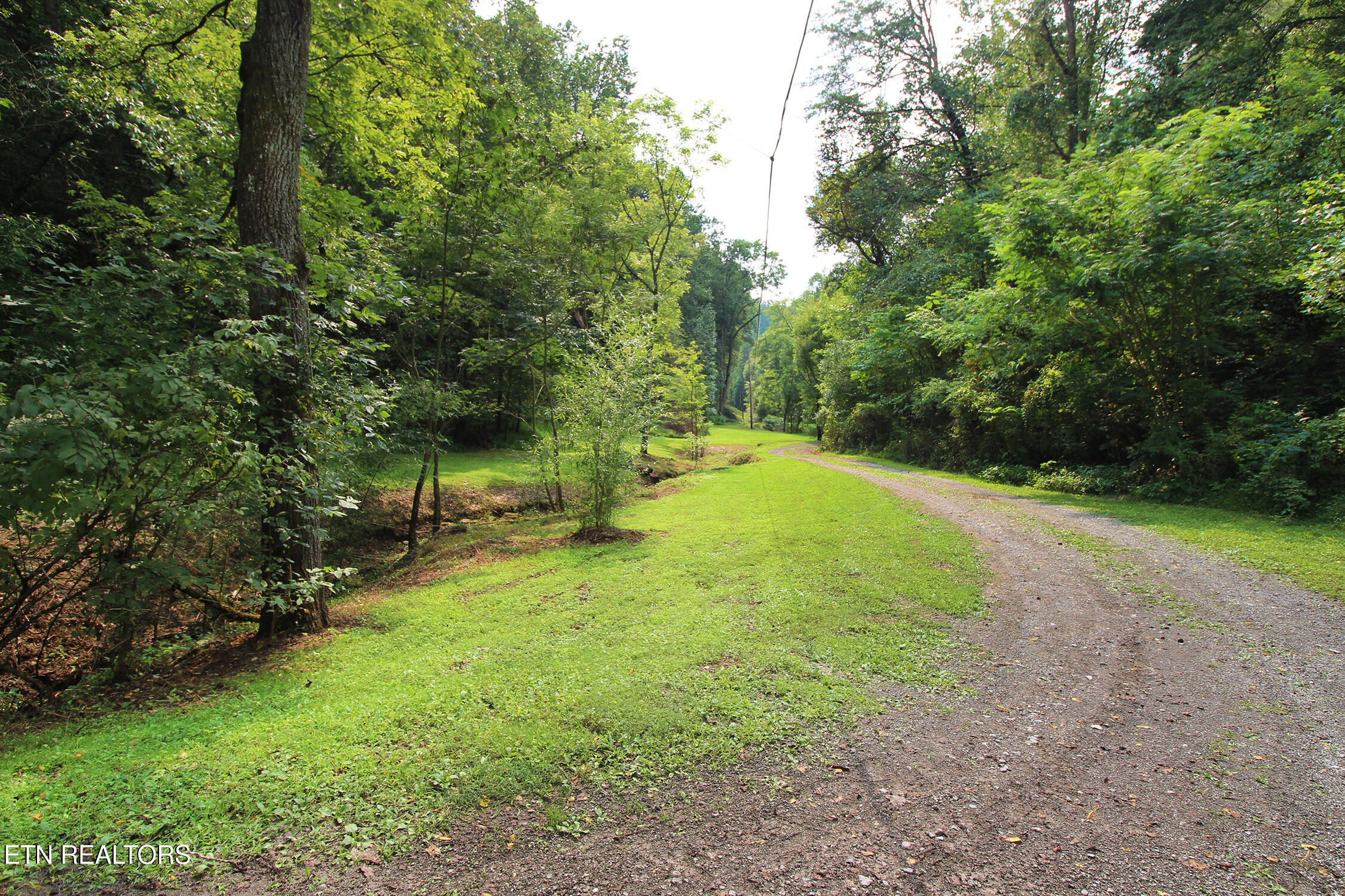388 Damewood Hollow Road Luttrell, TN 37779 - Photo 40 of 46 IMG_6446