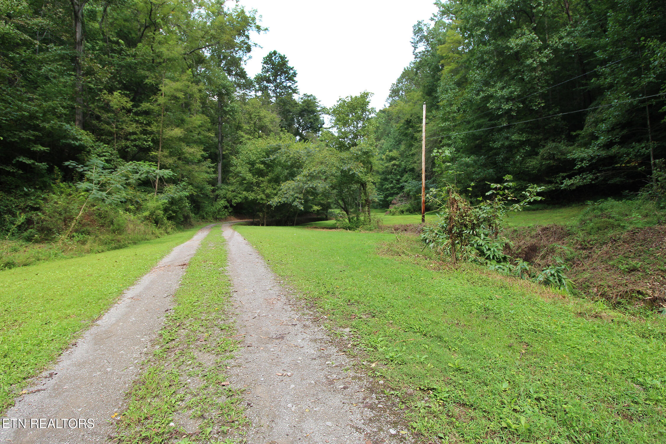 388 Damewood Hollow Road Luttrell, TN 37779 - Photo 41 of 46 IMG_6451